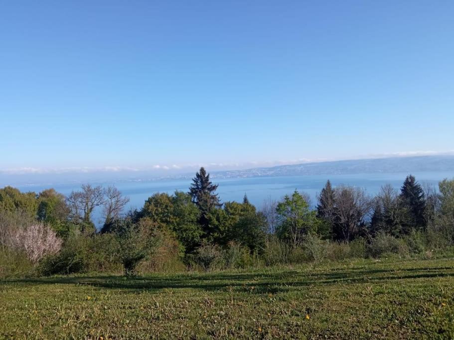 Lugrin Proche Du Lac Et Montagne エクステリア 写真